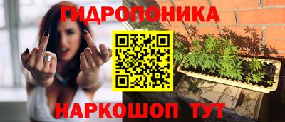 соль ск Будённовск